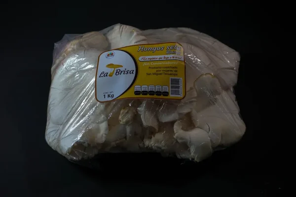 hongo seta 1 kg la brisa