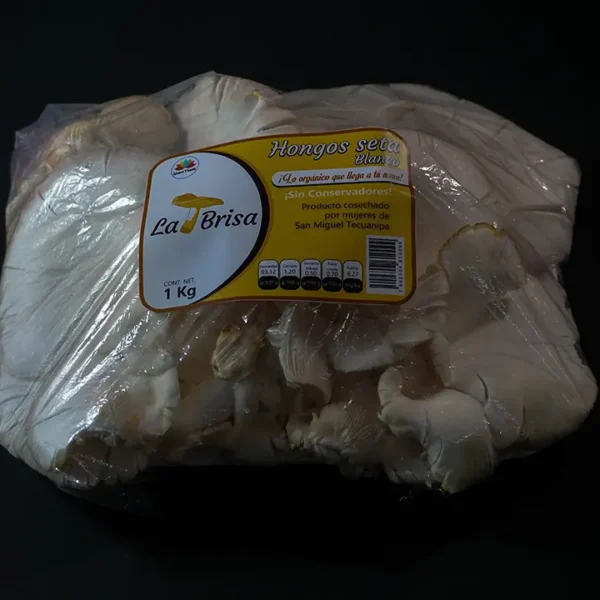 hongo seta 1 kg la brisa