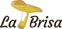 logo la brisa